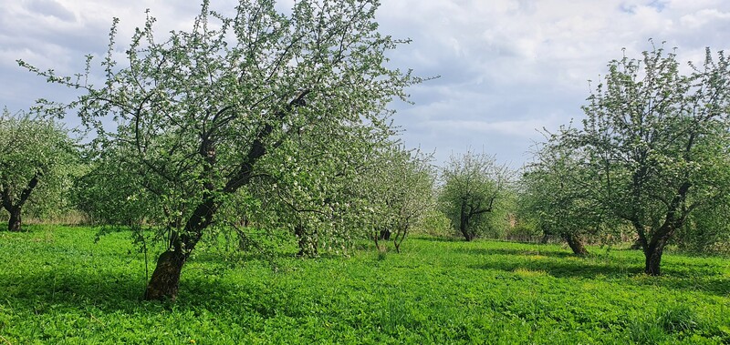 Луга дзержинского